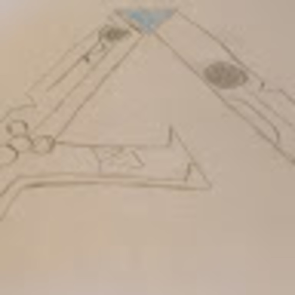 Meet your Posher, Trina